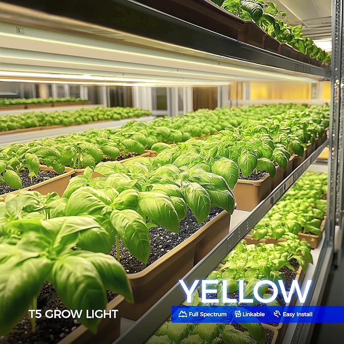 Barrina T5 Grow Lights, Full Spectrum Grow Light, 3ft 128W (8 x 16W, 800W Equivalent), LED Grow Lights for Indoor Plants, Greenhouse, Plant Grow Shelf, Plug and Play, Yellow, 8-Pack
