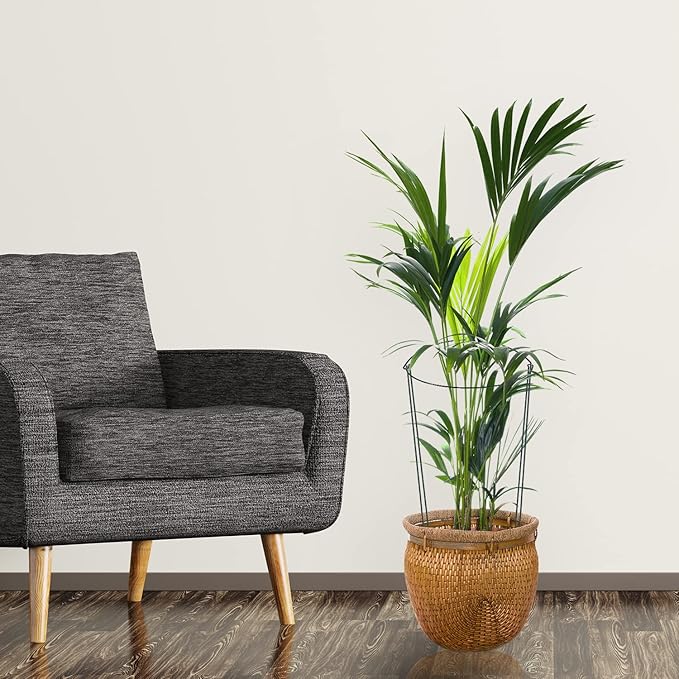 24 Pack Plant Support Stake, Half Round Metal Garden Plant Stake, Green Plant Support Ring, Border Support with Plant Lables & Plant Clips for Outdoor Indoor Plants, Vegetable, Flowers