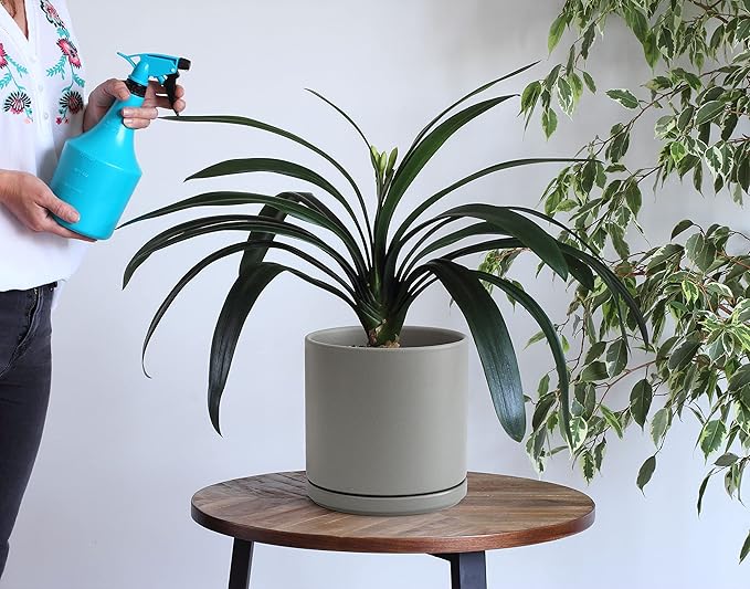 Set of 2 Plants Pots, 8 Inch Ceramic Planter Pot for Plants with Drainage Hole and Saucer, Speckled Grey, 94-V-D-3