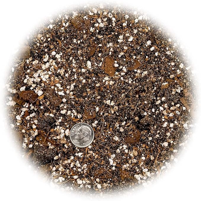 Premium Spider Plant Potting Soil Mix - (2 Quart Bag)