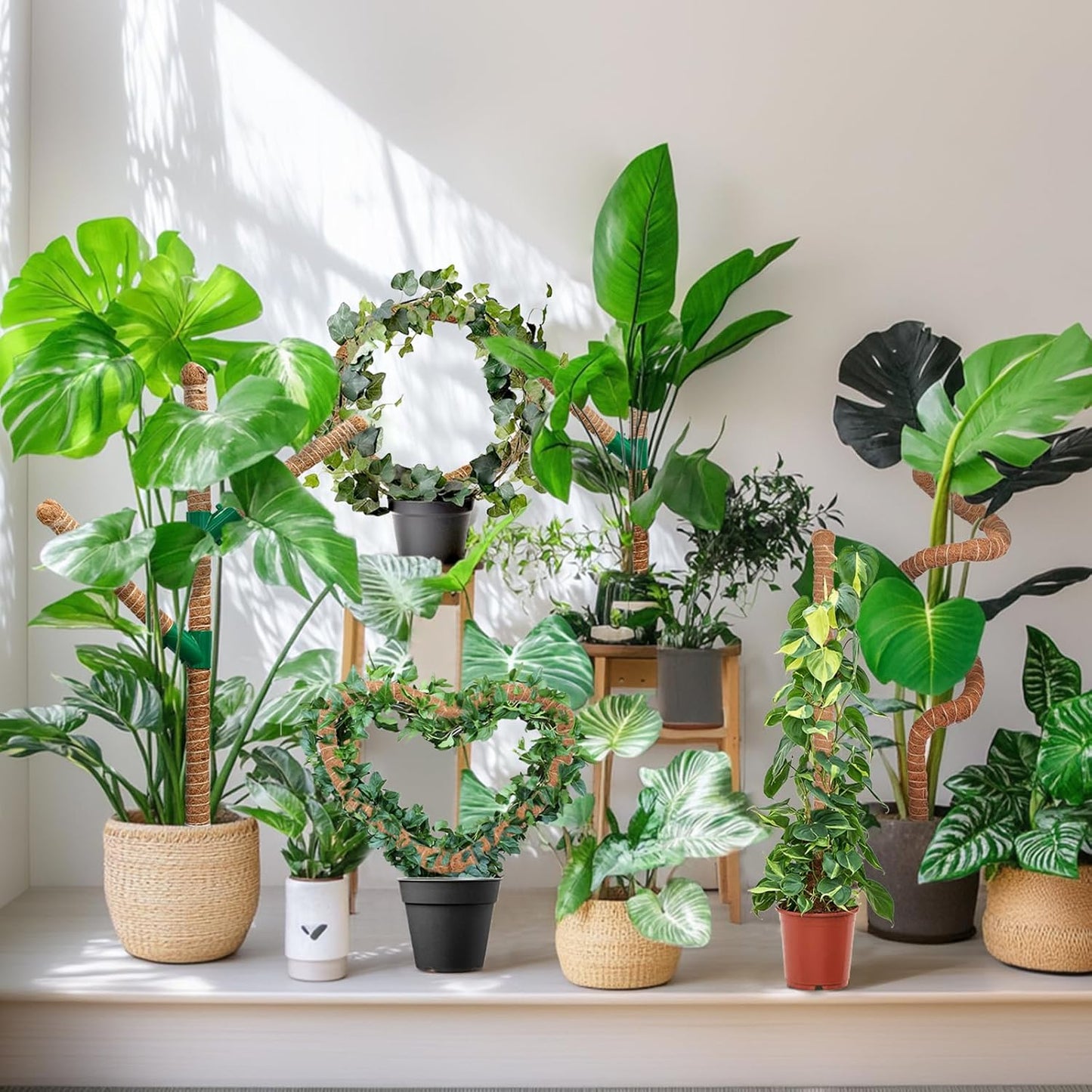 Moss Pole 30 Inch, 2 Pack Monstera Plant Support, Bendable Plant Stakes for Indoor Plants, Plant Sticks Support Tall,Coco Coir Plant Poles for Climbing Plants, Pothos, Philodendron