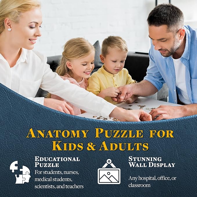 Dr. Livingston's Human Brain Anatomy Puzzle - A Medically Accurate Jigsaw Puzzle of The Brain Section - Educational Organ Toy for Teens & Adults - Unique Science Gift for Doctors, Nurses & Teachers