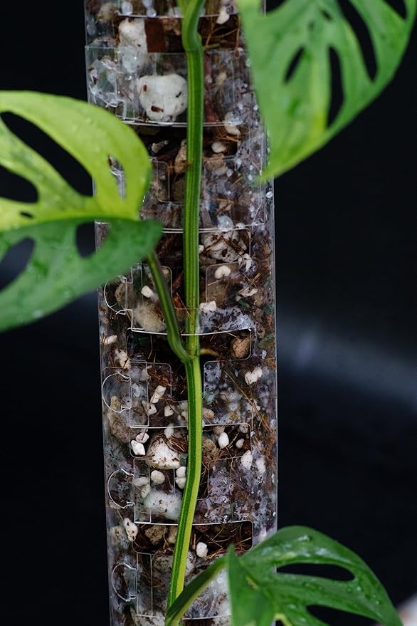 Plastic Moss Poles for Climbing Plants V3 Medium 5Pcs Front Opening Stackable Moss Pole Monstera Plant Support-Plant Climbing Pole, DIY Moss Pole for Plants Indoor, Plant Sticks Support by THICCLY