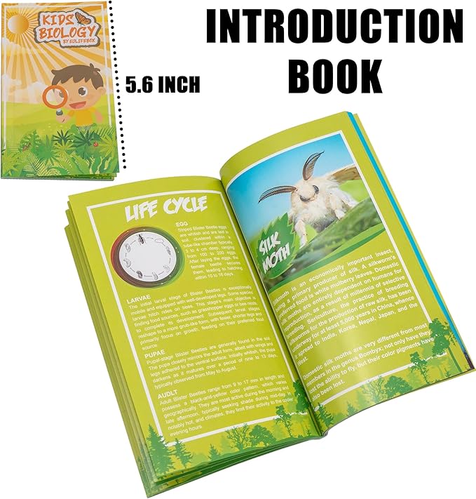 6 PCS Resin Insect Specimen Set, Butterfly, Jewel Frog Beetle, Silk Moth, Chafer, Stinkbug, Wasp, Science Education Toy for Kids