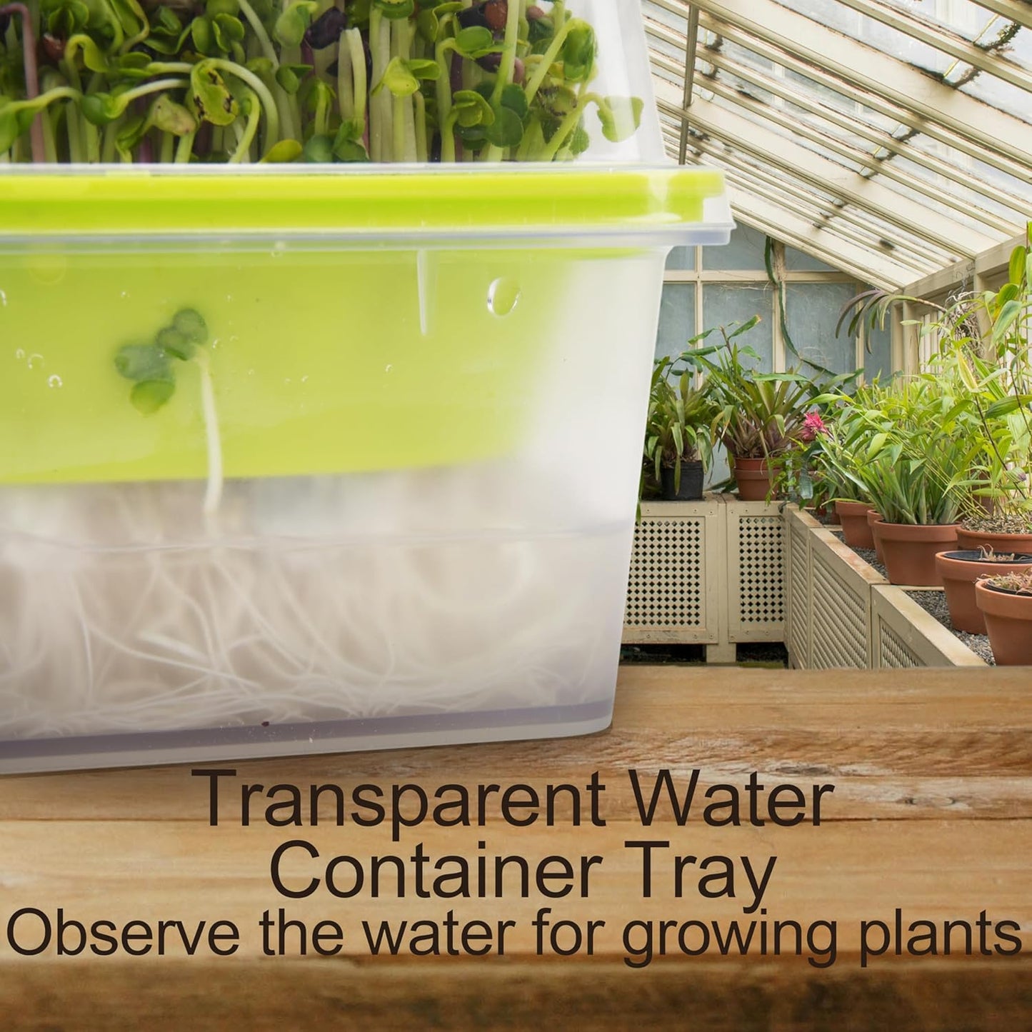 Microgreen Growing Trays, LUVCSOY Sprouting Tray with Humidity Dome, 3mm Large Mesh Holes, BPA Free, Sprouter Kit for Growing Large Seeds, Like Sunflower, Mung Beans, Green Pea - 4 Pack | Clear