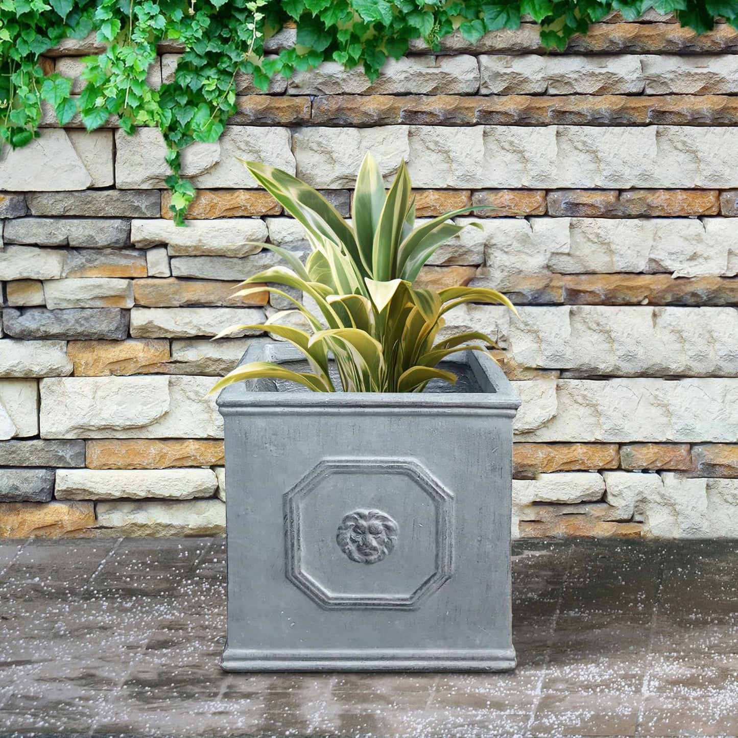 Kante Square Lion Head Concrete Planter, Classic English Style Plant Pot with Drainage Hole and Rubber Plug for Indoor Outdoor Garden Patio Home, 10.2"x10.2"x 10.2" Antique Gray