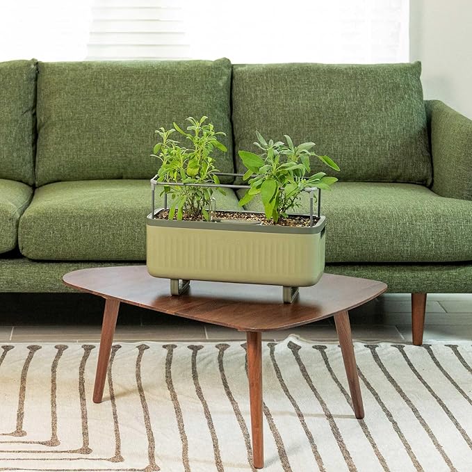 Vego garden Herb Indoor Plant Box, Self Watering Planters Pots for Indoor Plants with Trellis for Kitchen Window Sill or Countertop Plants Cage - Sage Green