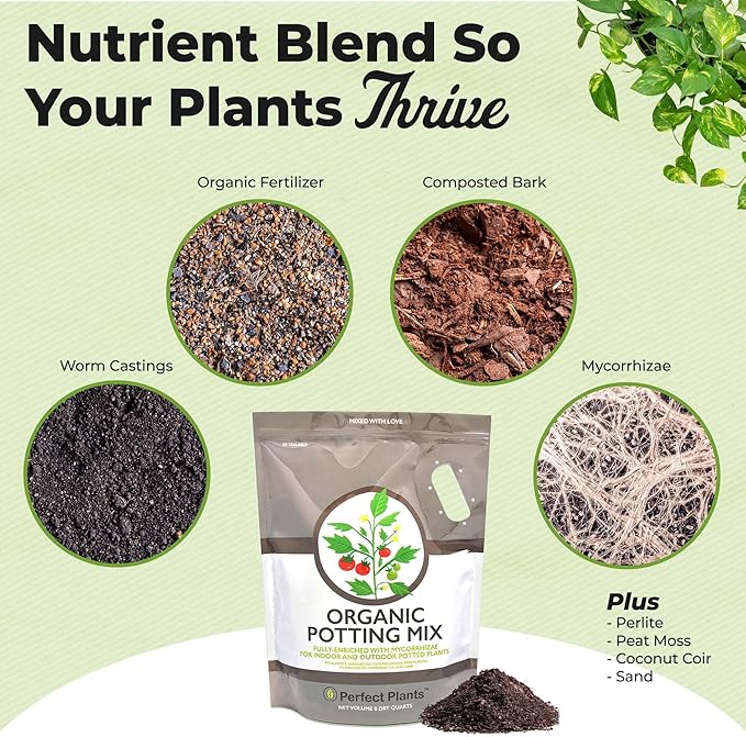 Organic Potting Mix by Perfect Plants for All Plant Types - 8qts for Indoor and Outdoor Use, Great for Veggies, Spices, and Holistic Herbs