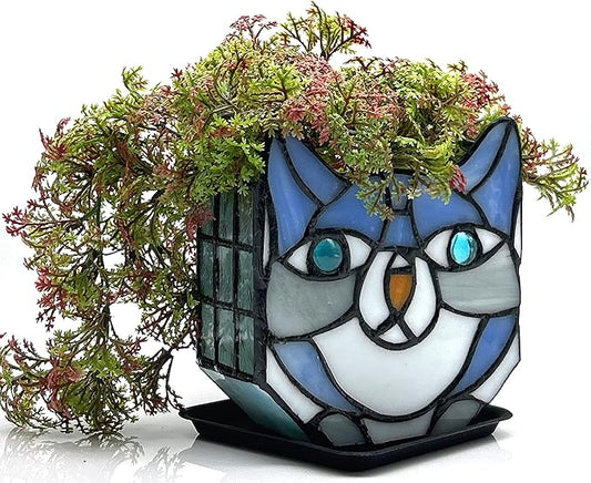 Indoor Plant Display Glass Container, Unique Pots for Plants, Glass Container Decoration,Suitable for Growing Small Plants 4.6x5.15x3 in (Excluding Plants)