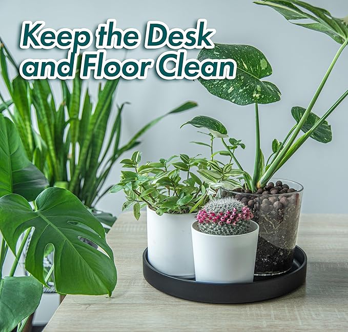 Phoenix Vine 12 Inch Plastic Plant Saucer Water Drip Tray, Heavy Sturdy Round Plant Drainage Tray for Indoors Outdoor, Set of 2, Matte Black, 21-TY-12B-2