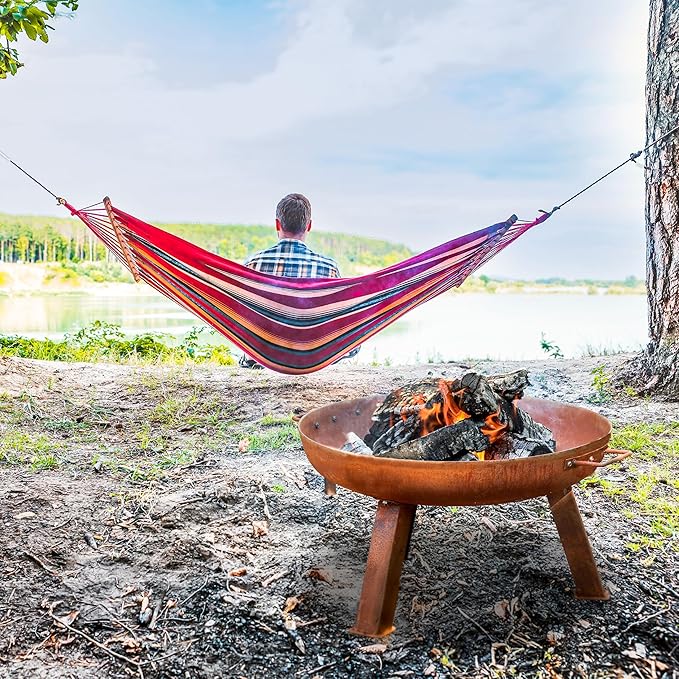 Sunnydaze 24-Inch Cast Iron Heavy-Duty Fire Pit for Outside - Wood-Burning Outdoor Fire Pit Bowl with Handles - Oxidized Finish