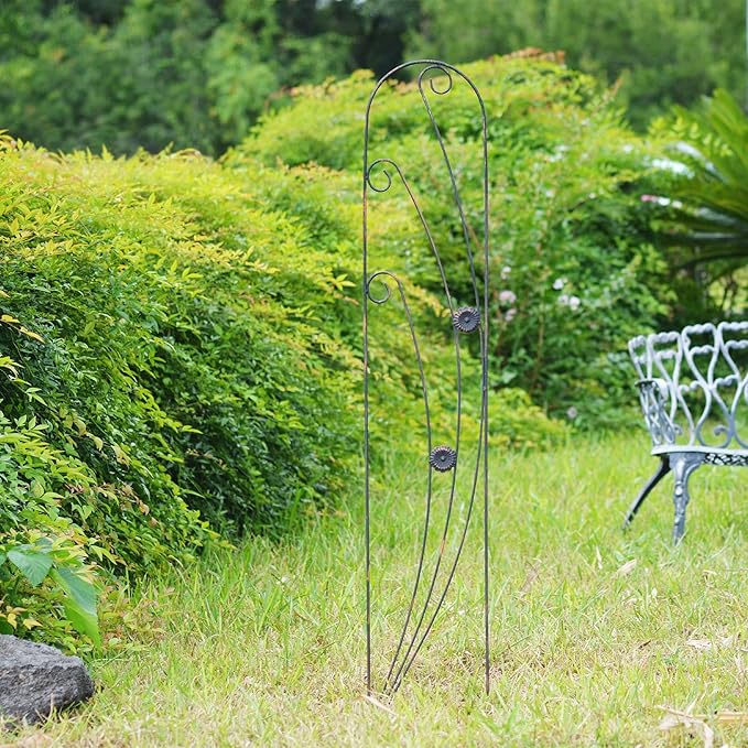 Arcadia Garden Products TR08 Phoenix Trellis 5' x 10", Black