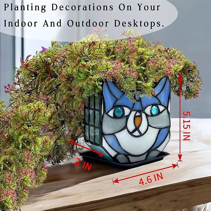 Indoor Plant Display Glass Container, Unique Pots for Plants, Glass Container Decoration,Suitable for Growing Small Plants 4.6x5.15x3 in (Excluding Plants)