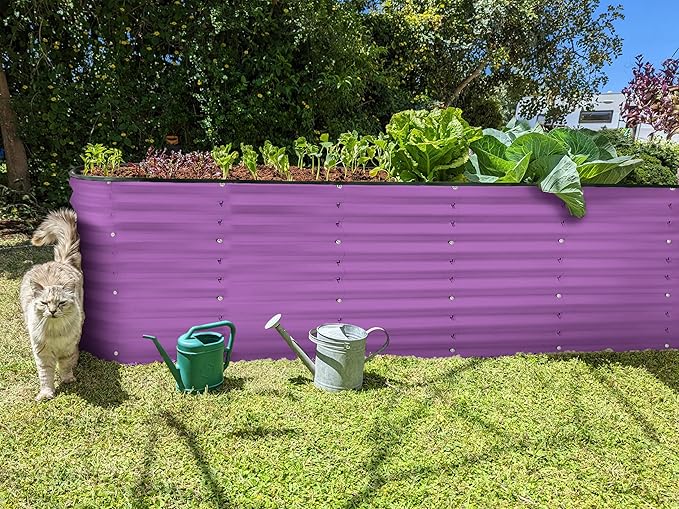 Galvanized Raised Garden Beds Outdoor // 8×2×2 ft Planter Raised Beds for Gardening, Vegetables, Flowers // Large Metal Garden Box (Purple) // Patented Tool-Free Design