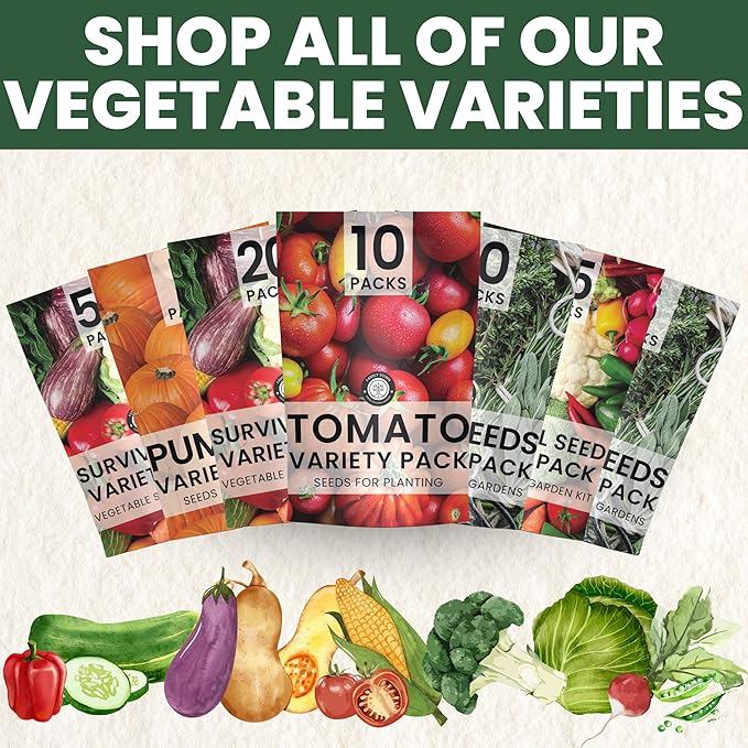 Herb Seeds | 5 Invidiual Packs | 2025 Season | Non-GMO | Basil, Dill, Mint, Parsley & Thyme! | for Planting Indoor & Outdoor | by Family Sown