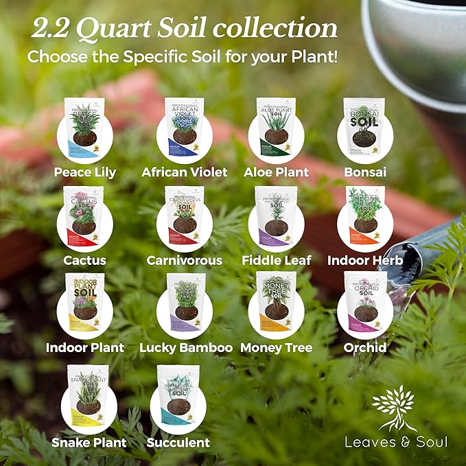 Orchid Soil Premium All Purpose Blend | Large 2.2 Quarts | Ready to Use for Orchids, Bromeliads, Epiphytic Plants | Lava, Calcined Clay and Pinebark | Made in USA