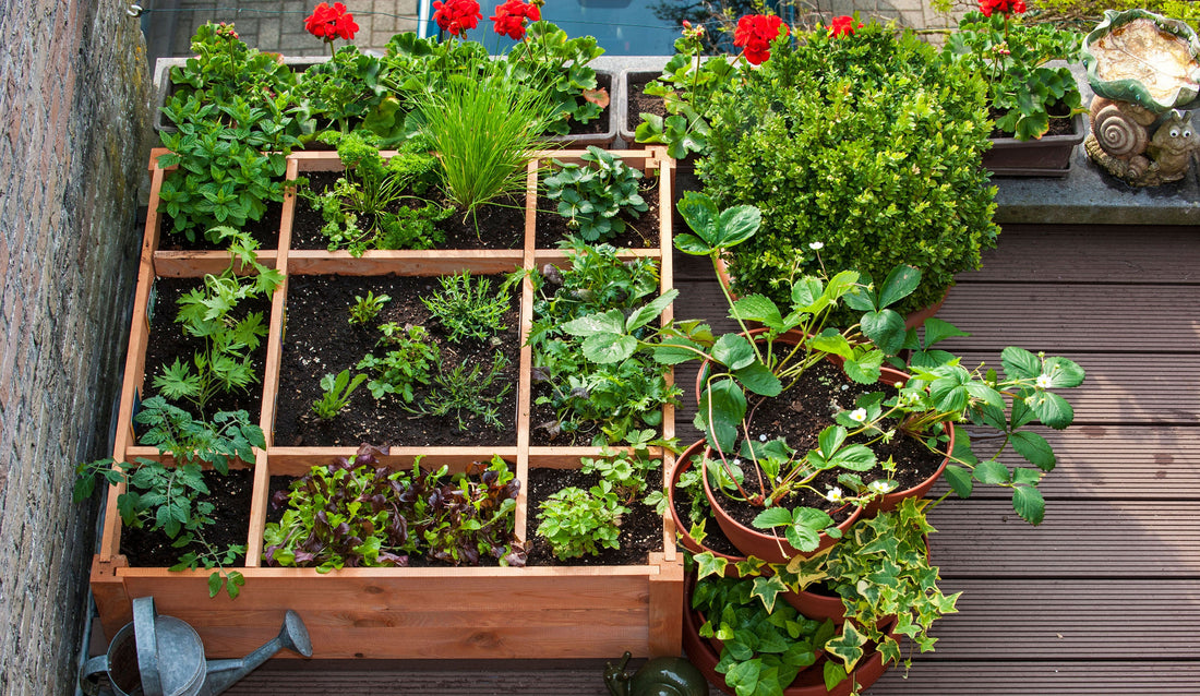 What Balcony Gardeners Actually Use After 30 Days