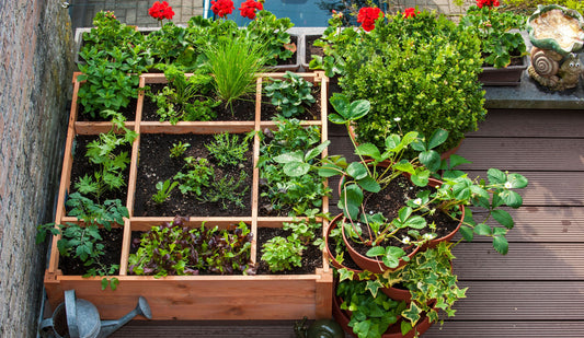 What Balcony Gardeners Actually Use After 30 Days