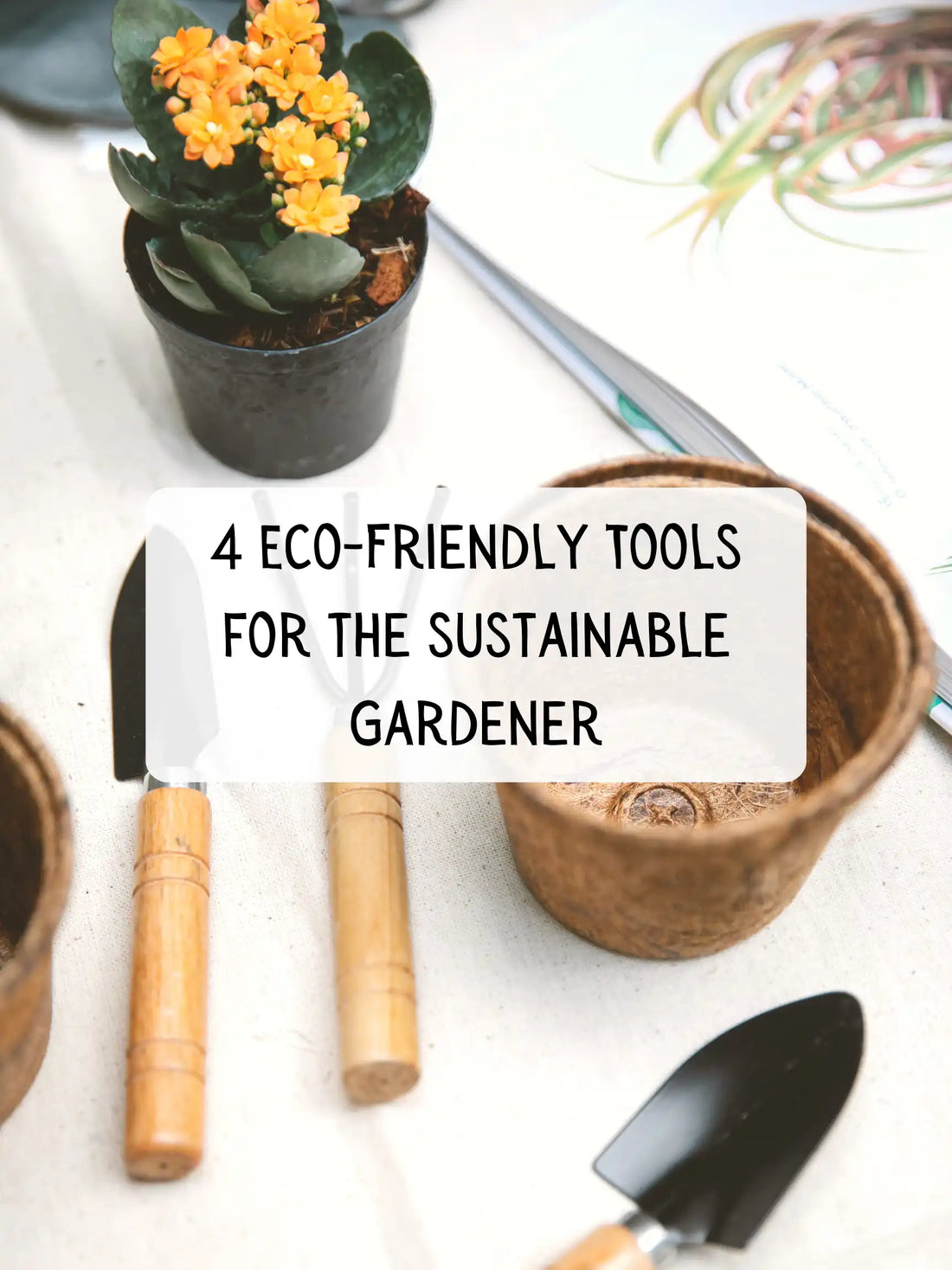 Why Eco-Friendly Garden Tools Are a Must for Modern Home Gardeners