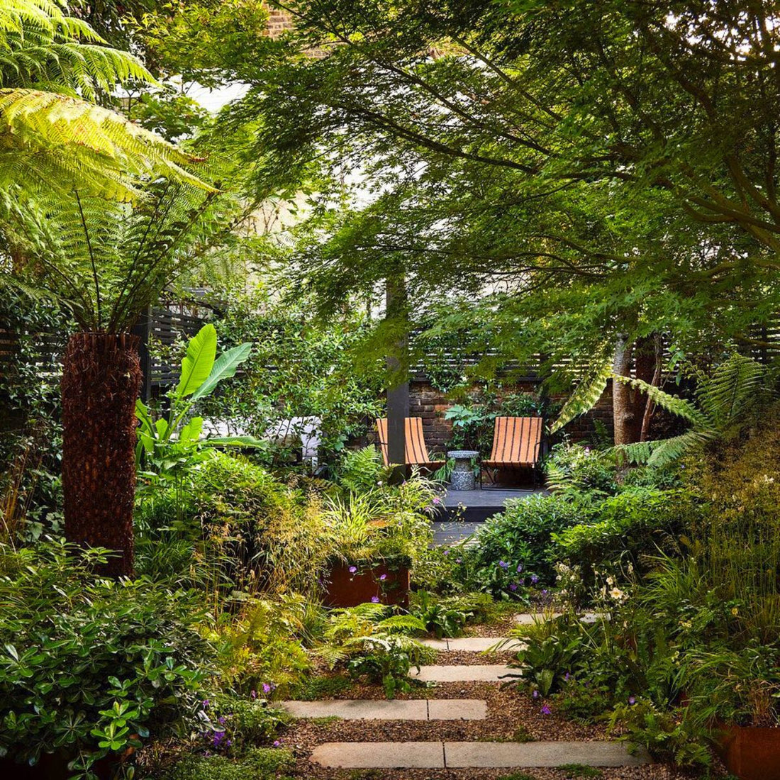 Shade-Loving Plants for Cozy Corners: Beautiful Picks for Low-Light Outdoor Spaces