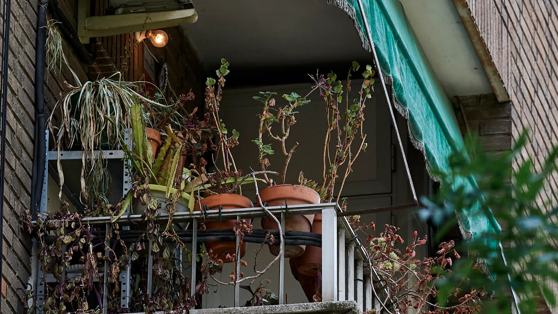 Why Most People Quit Gardening (And How Not To)