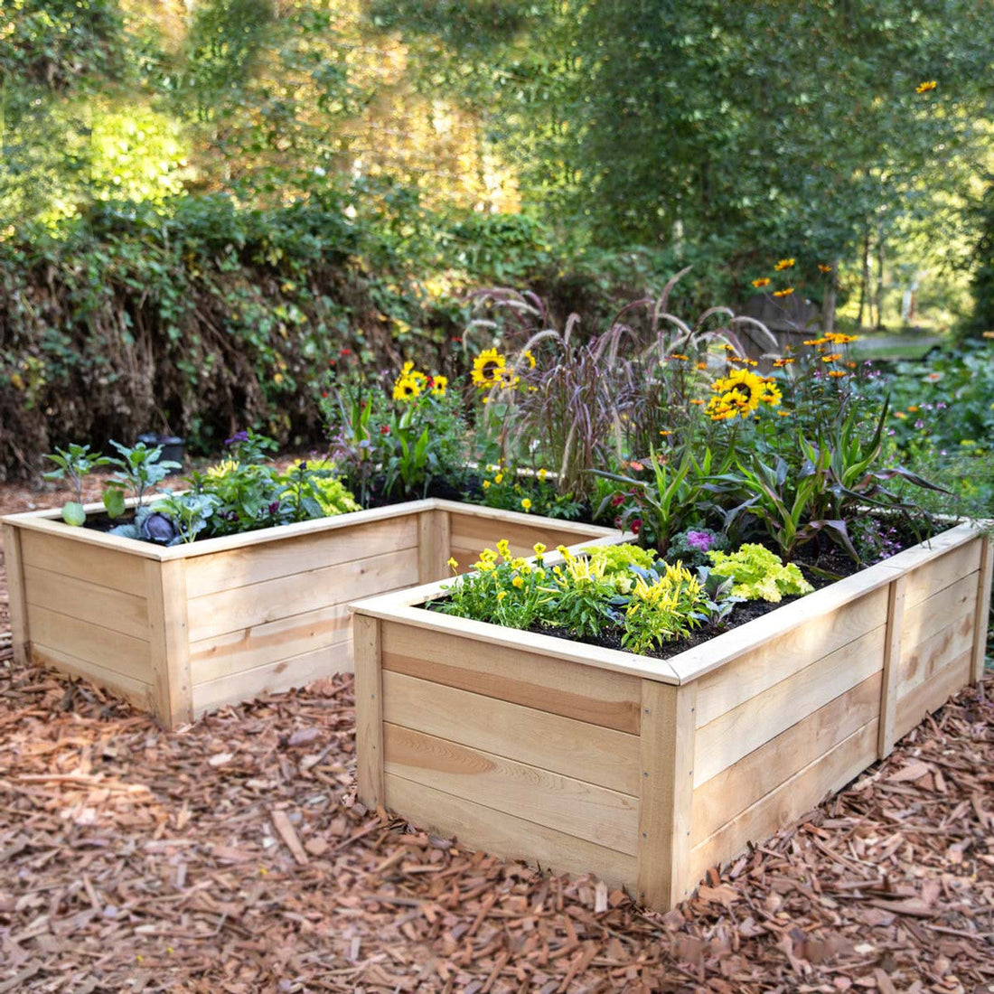 Beginner’s Guide to Raised Garden Beds: Why They’re So Popular and How to Start