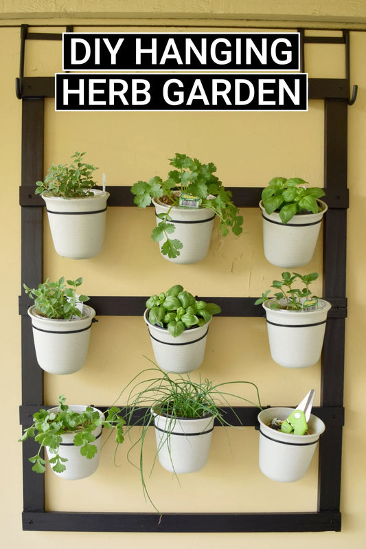 The Only Herbs Americans Actually Keep Alive