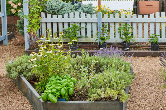 Herb Garden Ideas for Small Spaces: Fresh, Simple, and Perfect for Any Home