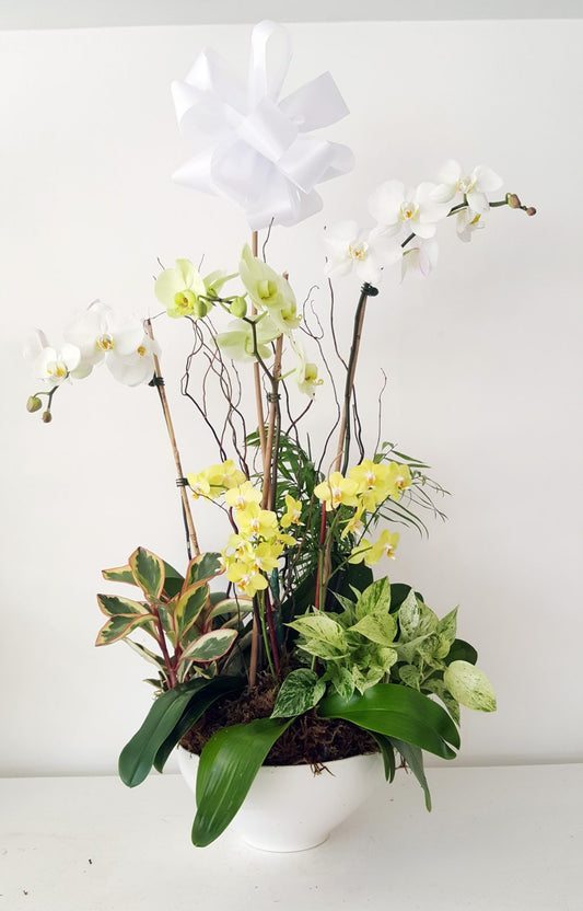 Sympathy & Condolence Flowers — A Gentle Guide to Expressing Support