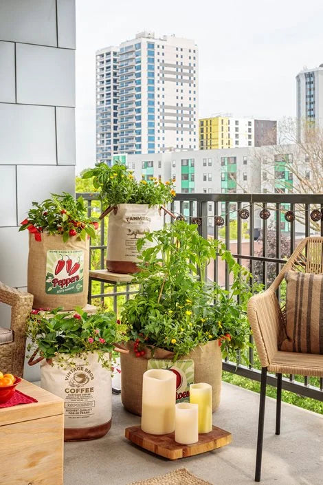 Minimal Balcony Garden Setup That Actually Works