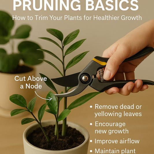 “Pruning Basics: How to Trim Your Plants for Healthier Growth”