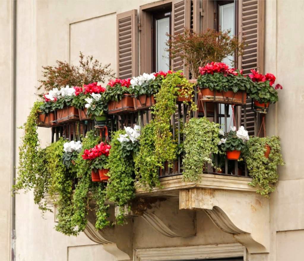Common Balcony Gardening Mistakes (And How to Avoid Them)