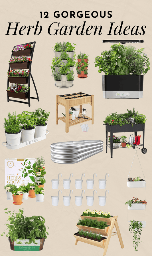 The Simplest Herb Garden Setup That Works