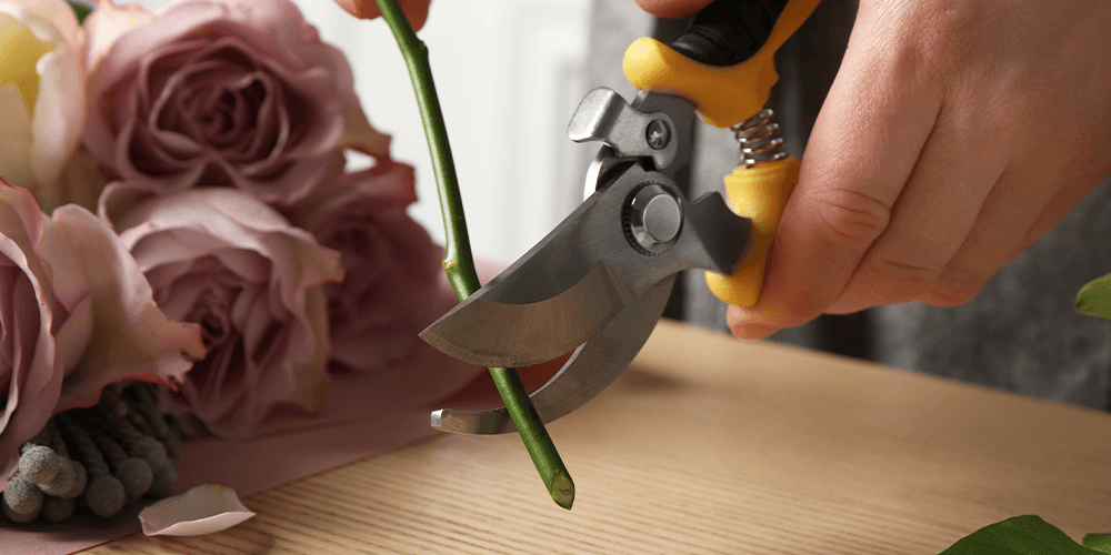 Fresh Flower Care Tips — Make Your Bouquet Last Longer