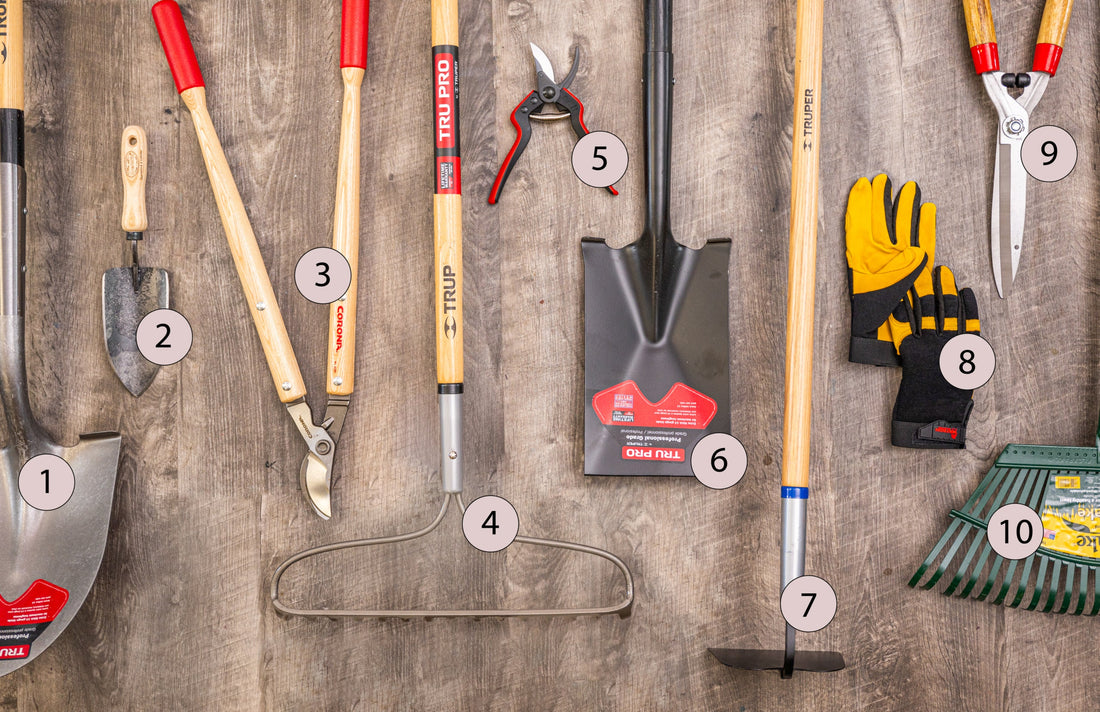 Low-Maintenance Garden Tools for Renters