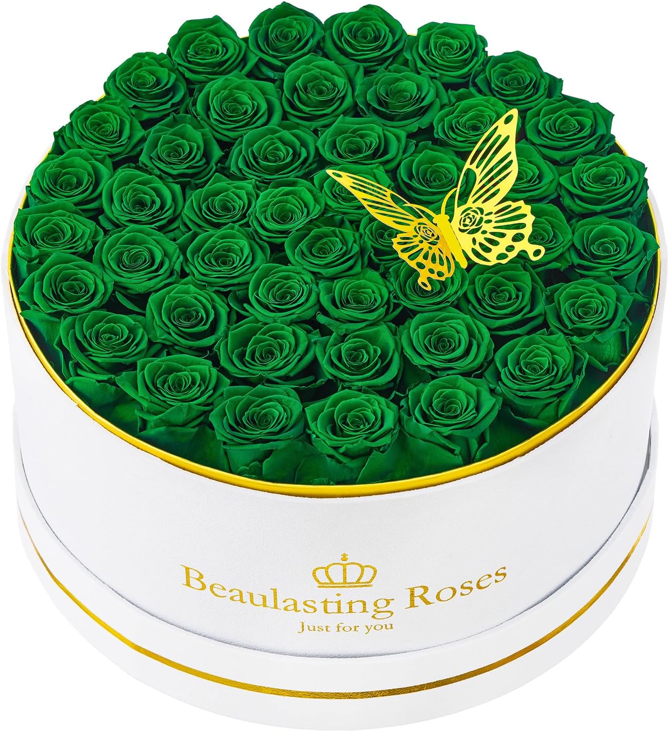 Dried & Preserved Flora