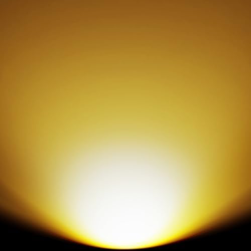 SOLPEX 2 Pack Solar Ground Lights Outdoor Waterproof, Solar Powered Pathway Lights, Landscape Lighting for Garden Walkway Driveway Backyard Decor (Warm White)