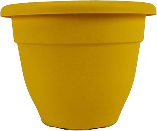 The HC Companies 6 Inch Caribbean Planter - Lightweight Indoor Outdoor Plastic Plant Pot for Herbs and Flowers, Honey