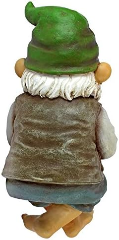 Design Toscano Ziggy with Fishing Pole Garden Gnome Indoor/Outdoor Shelf Sitter Statue, 9 Inch Tall, Cast Stone Resin, Full Color Finish