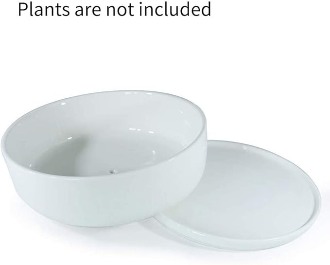 SQOWL 8 inch White Round Ceramic Succulent Planter Pot Modern Flower Cactus herb Big Planter with Removable Saucer Indoor or Outdoor