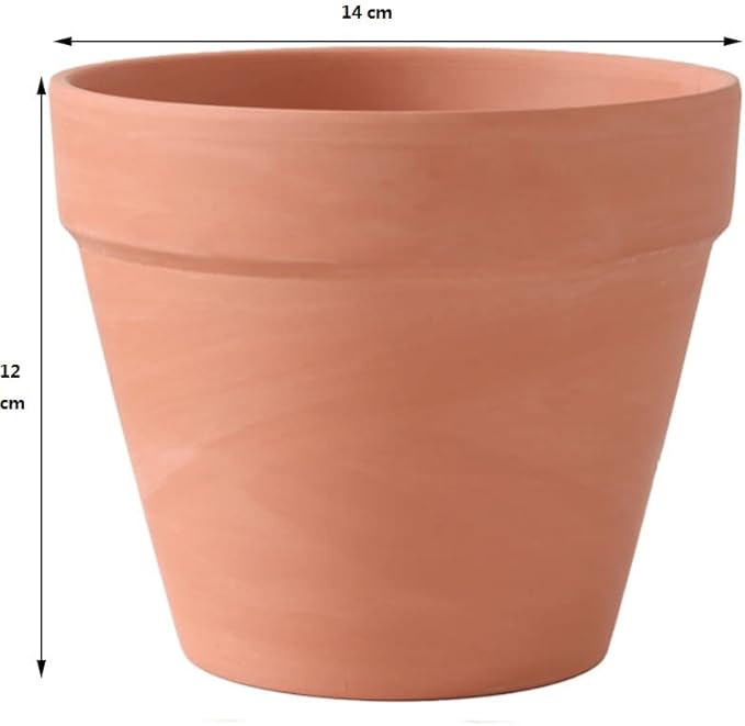 OLEEP Clay Pot - 10 Pack Large Terra Cotta Plant Pot with Drainage Hole, Clay Planters Pot, Terracotta Pot for Indoor Outdoor Plant (5.5 inch)