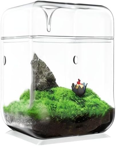 SARUFO Small Glass Plant Terrarium 4.7"X7" Inches Succulent Air Planter Fern Moss Micro-Landscape Vase for Home Garden Office Tabletop Decoration Container with Lid Indoor Wardian Copyright Patent