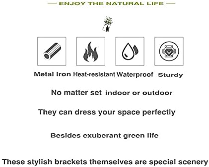 Simply Style Metal Hanging Plant Brackets 10inch, Pack of 2, Wall Mount Plant Hangers, Planter Hooks for Flower Baskets, Bird Feeders in Corridor/Patio/Porch/Garden