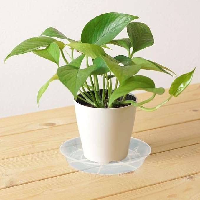 6 Pack Plant Saucer Drip Tray 14 inch, Large Plastic Plant Trays, Heavy Sturdy Plastic Planter Flower Pot Saucers for Indoor Outdoor Garden, Plant Water Drip Trays for pots (14", Clear)