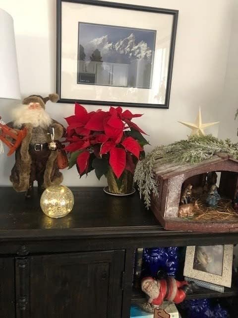 Mercury Crackle LED Glass Globe Ball Lamp with Timer, Battery Operated Night Light for Girls, Birthday, Halloween,Christmas - Decorative Gift for Home Warm White (with Timer)