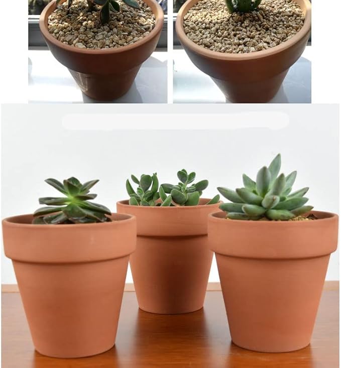 OLEEP Clay Pot - 10 Pack Large Terra Cotta Plant Pot with Drainage Hole, Clay Planters Pot, Terracotta Pot for Indoor Outdoor Plant (5.5 inch)