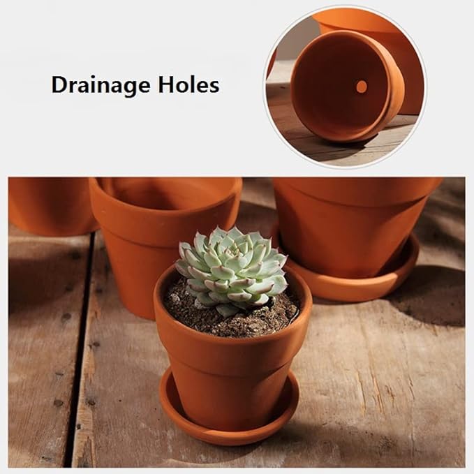OLEEP Clay Pot - 21 Pack Large Terra Cotta Plant Pot with Drainage Hole, Clay Planters Pot, Terracotta Pot for Indoor Outdoor Plant (3.5 inch)