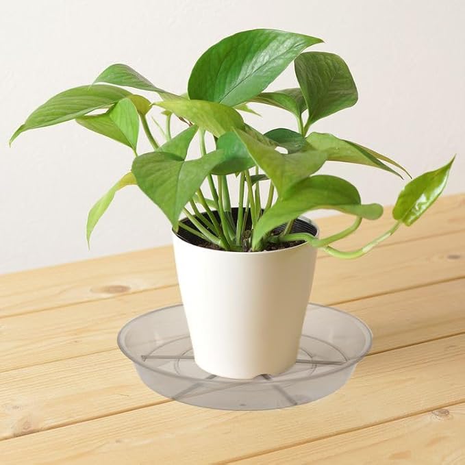 6 Pack Plant Saucer Drip Tray, 4 5 6 8 9 10 12 14 16 18 inch, Heavy Sturdy Plastic Planter Flower Pot Saucers for Indoor Outdoor Garden, Plant Water Drip Trays for pots Base (4", Grey)