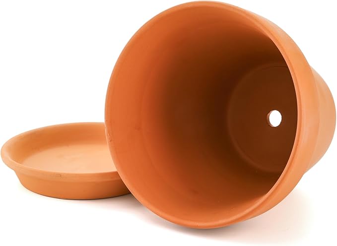 Suwimut 4 Pack Terracotta Plant Pots with Saucer, Large 6 Inch Terra Cotta Plant Pot with Drainage Hole, Clay Flower Pot with Tray for Indoor Outdoor Plant, Crafts Terra Cotta Planter