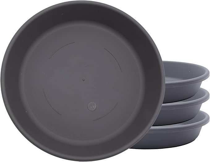 The HC Companies Flower Pot Saucers - Plastic Plant Saucer for Outdoors & Indoors - Traditional Design Plant Pot Trays for Water Drainage - Durable & Stylish Round Plant Tray (10-inch Warm Gray)